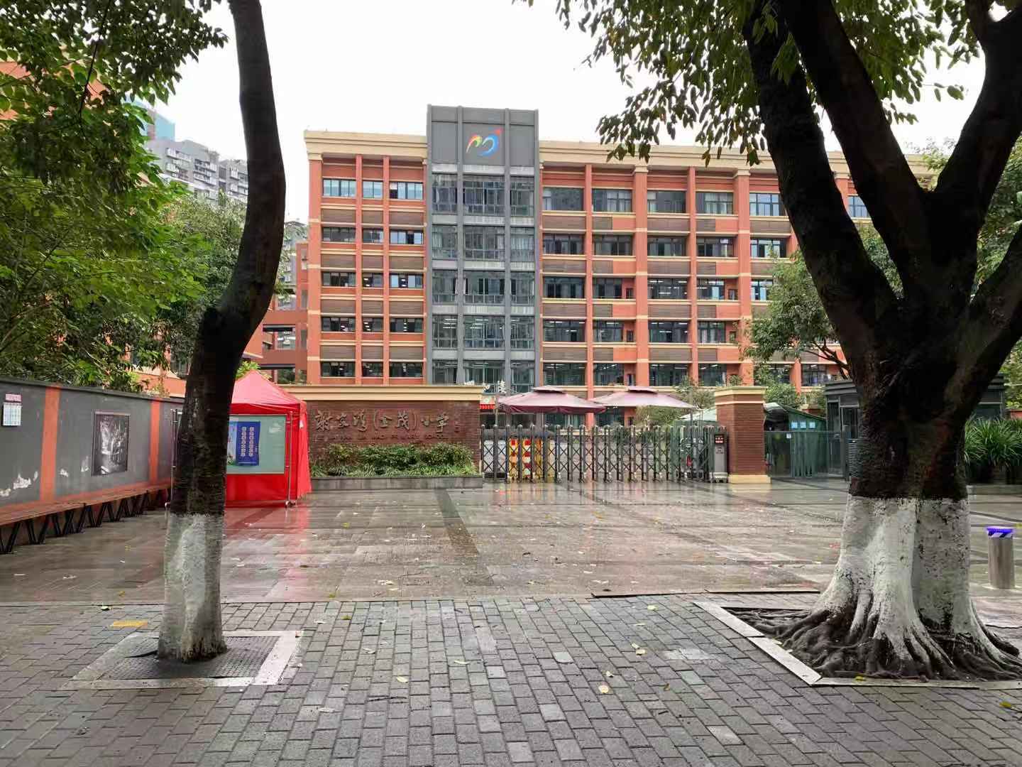 2.九龙坡区谢家湾(金茂)小学