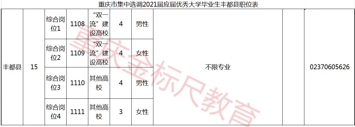 2021重庆选调生丰都县招15人职位表